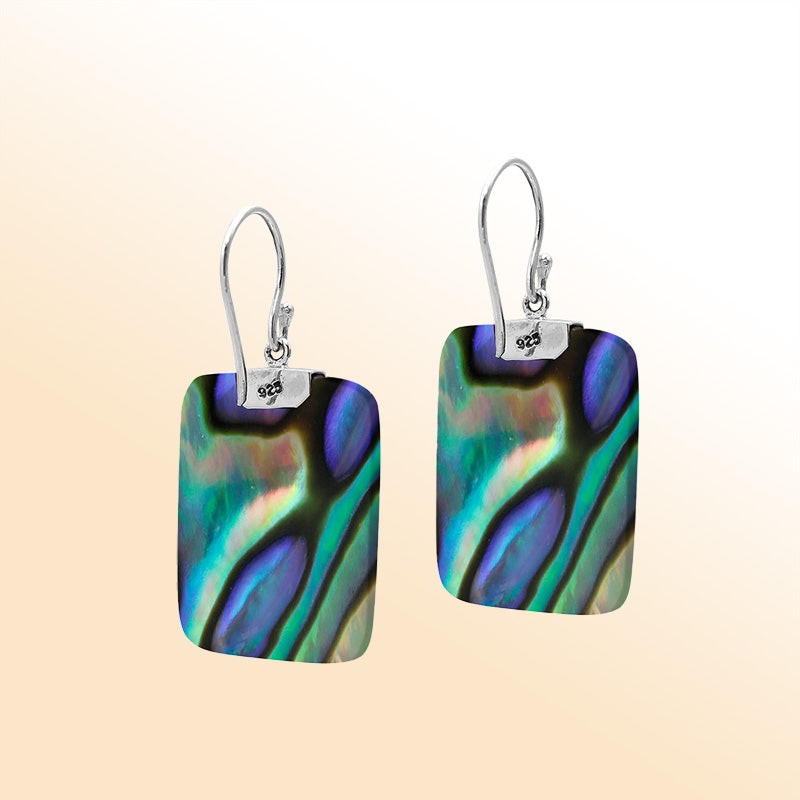 Artistic rectangular Abalone Shell earrings with silver top