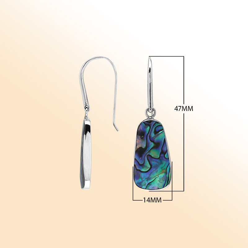 Abalone Shell Drop Earrings In Silver With Ocean Wave Design